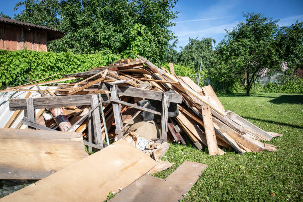 Best Hoarding Cleanup  in Holly, MI